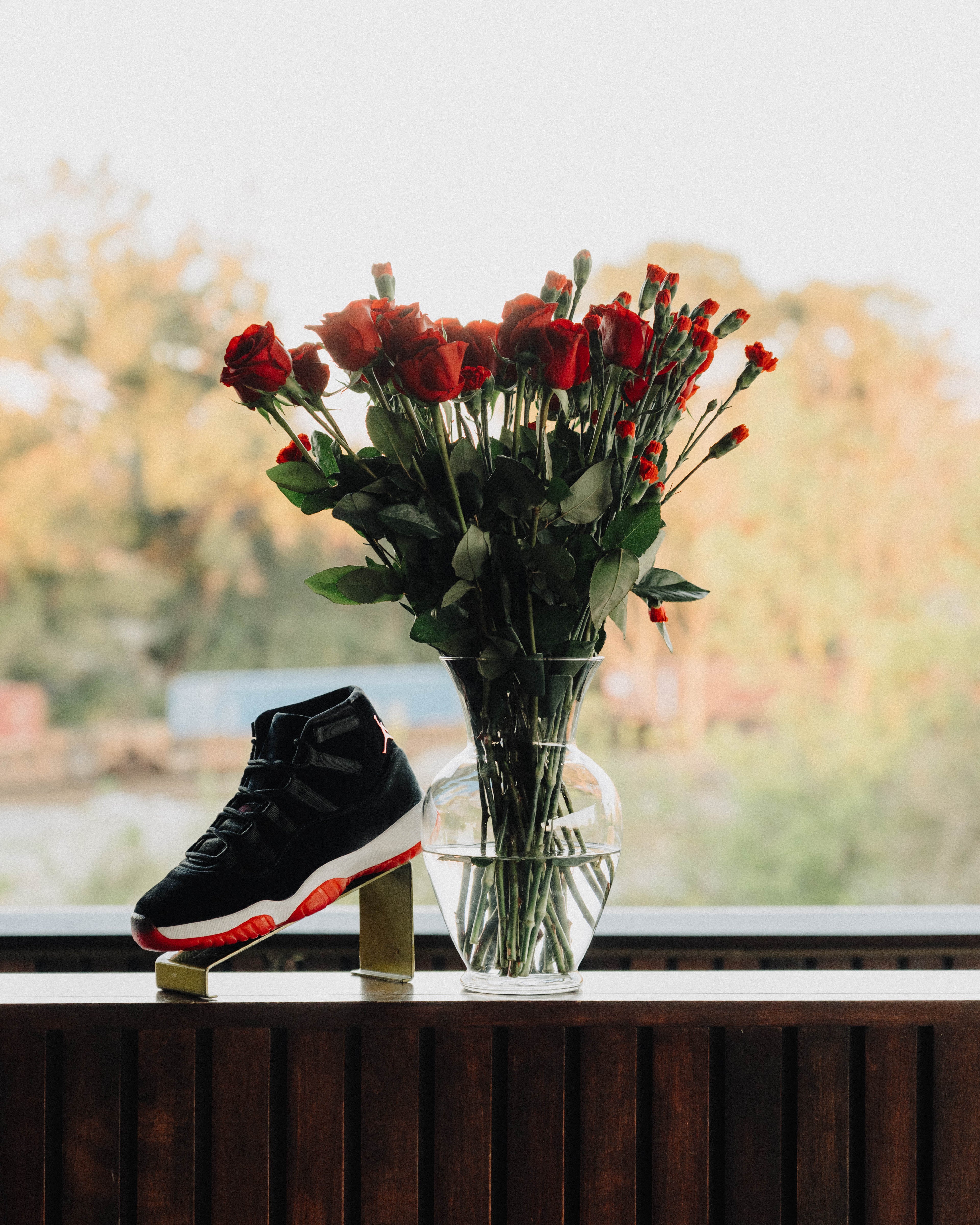 Women’s Air Jordan 11 “Bred Velvet” Night