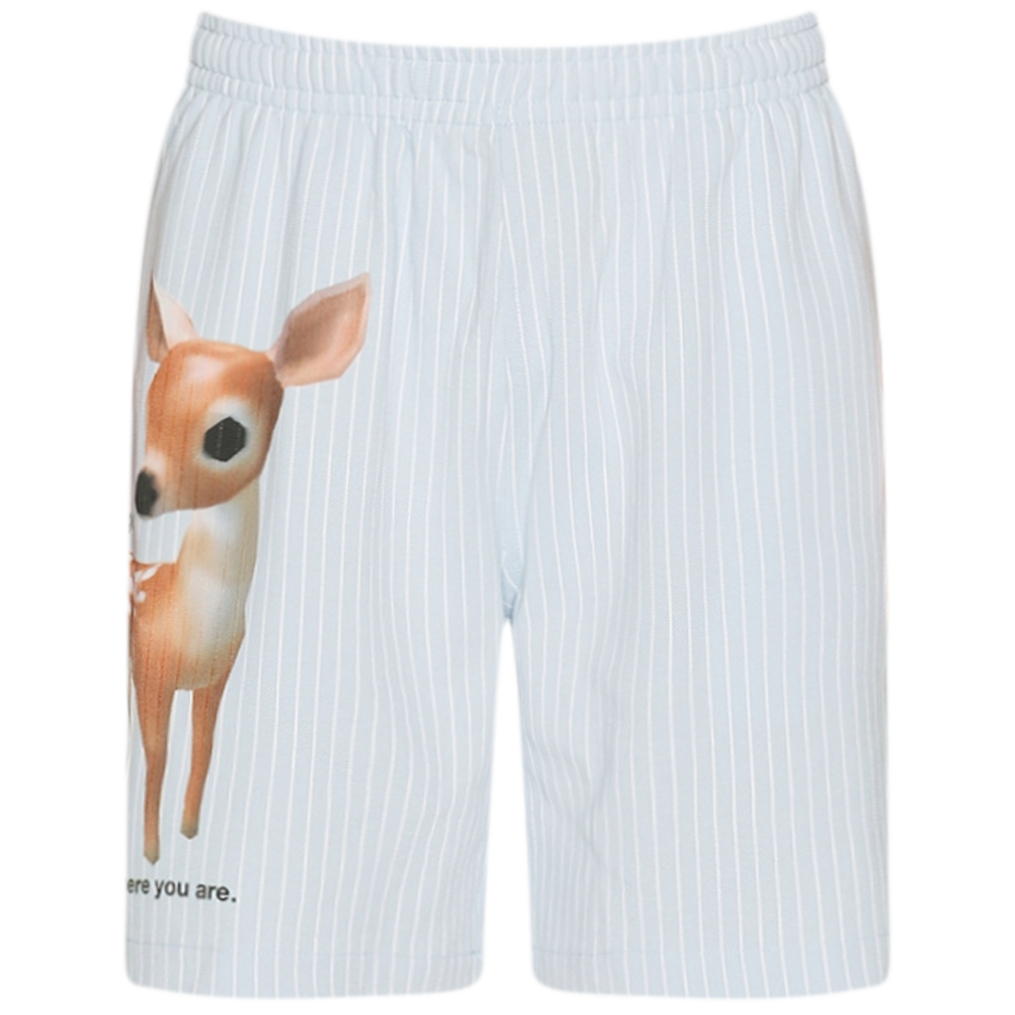 Pet Shorts