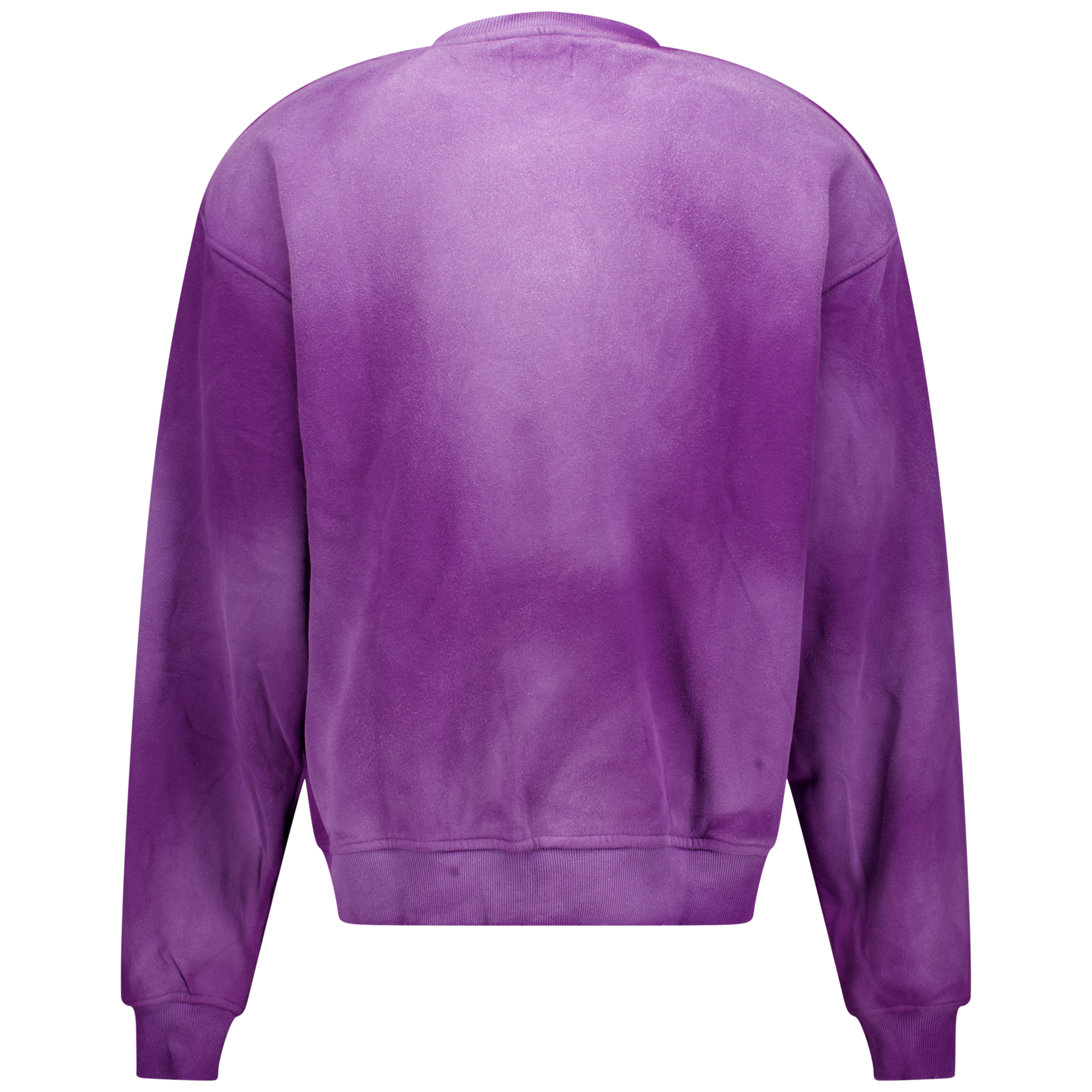 Eagle Sweatshirt